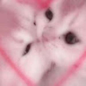 Meet your Posher, Mar